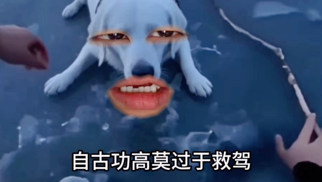 配图