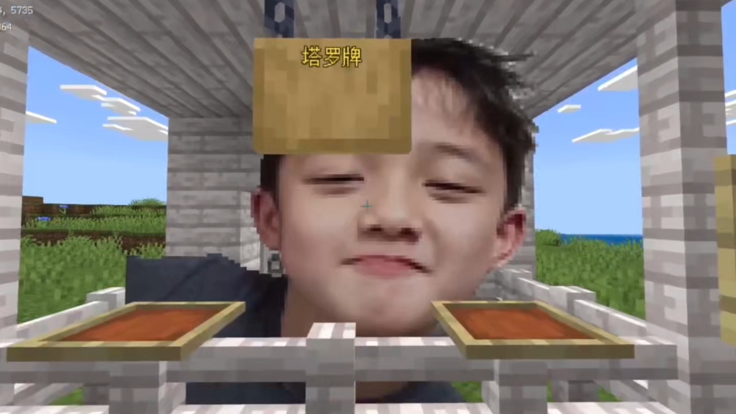 配图