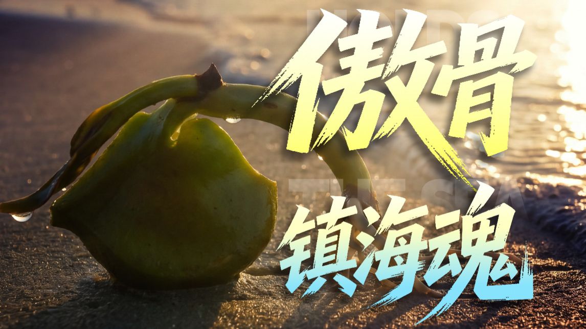 配图