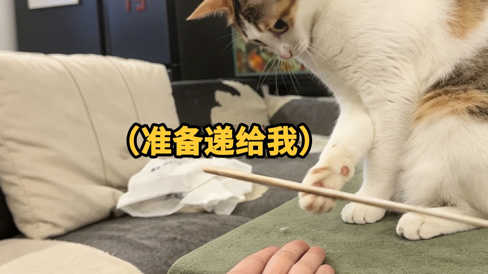 配图
