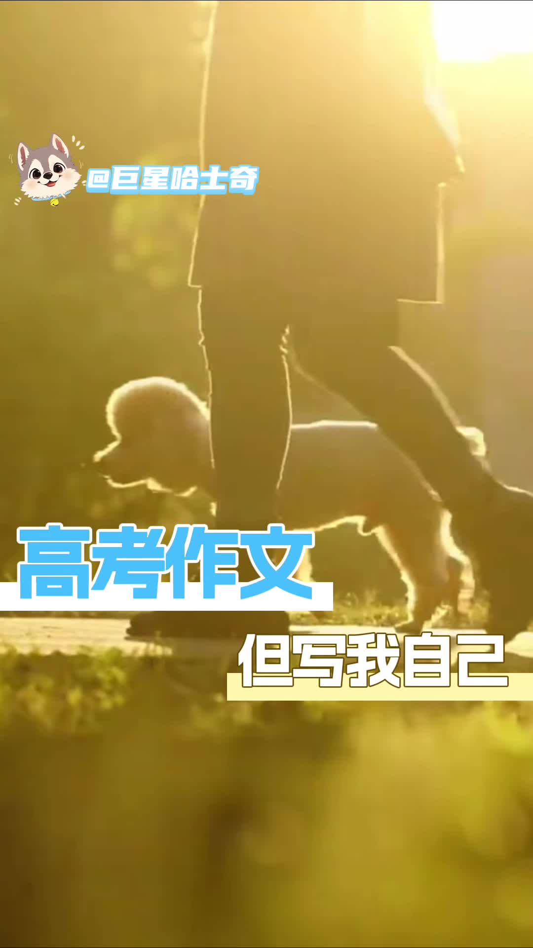 配图