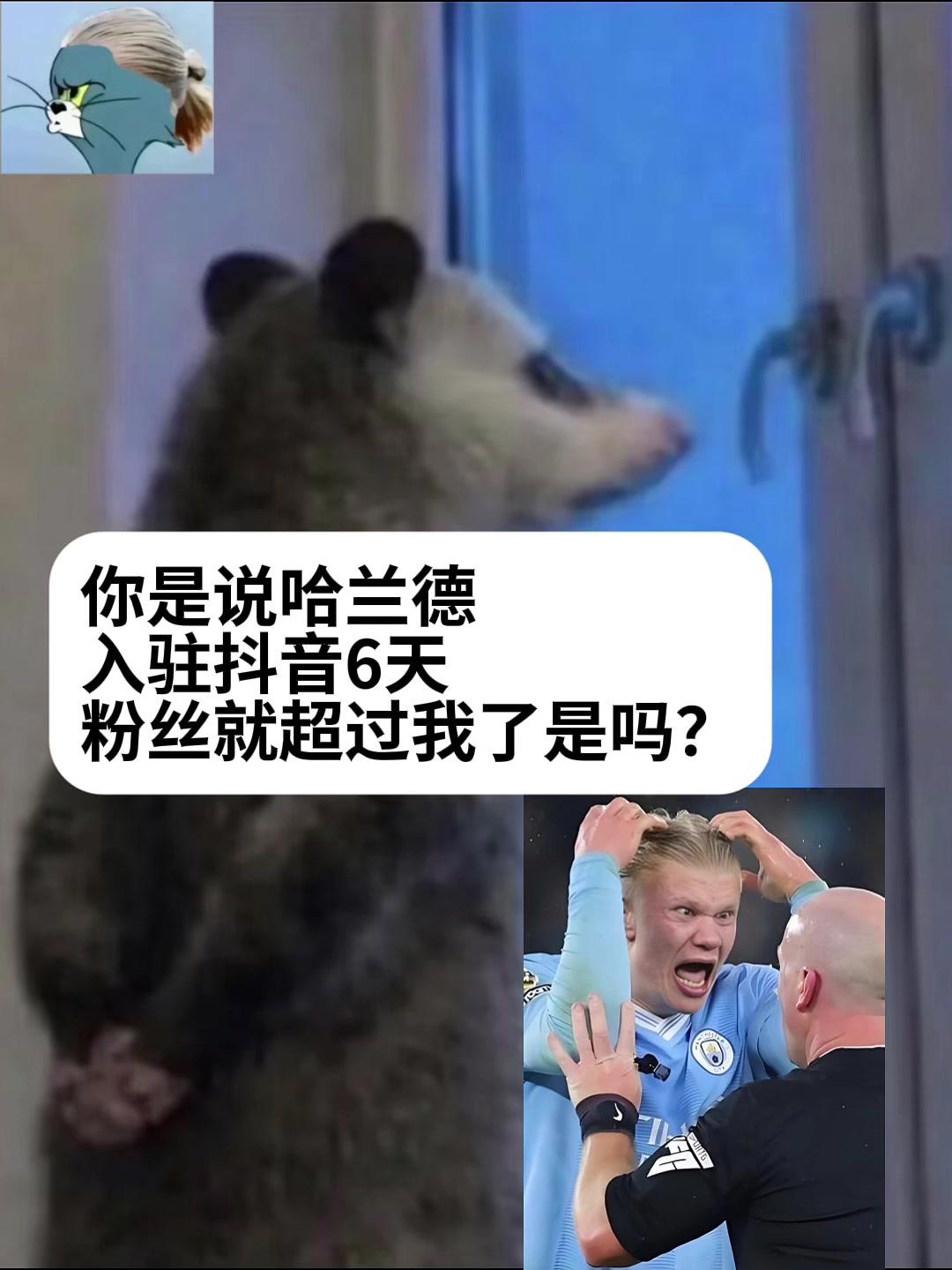 配图