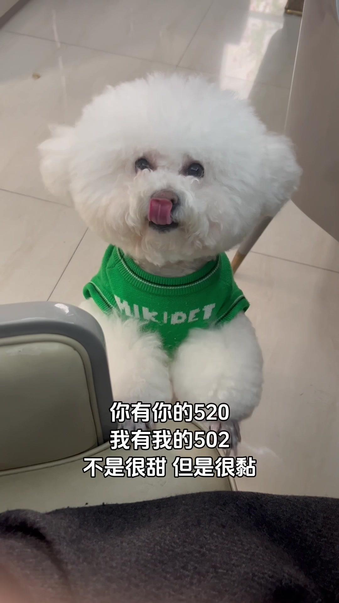 配图