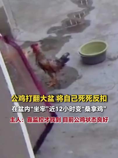 配图
