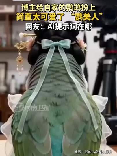 配图