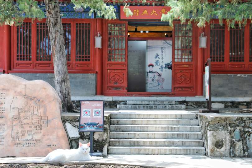 配图