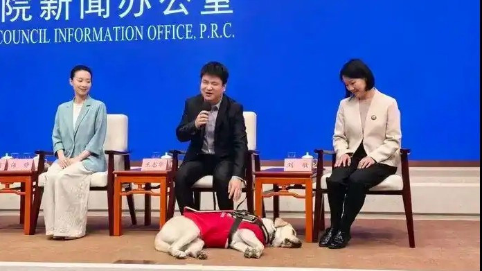 配图