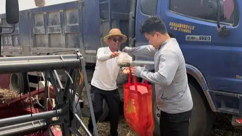 配图