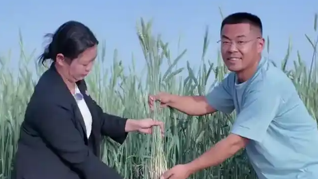 配图