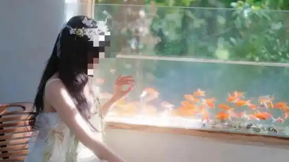 配图
