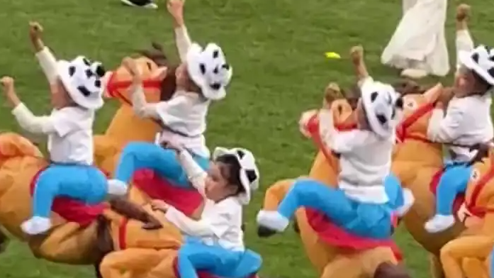 配图
