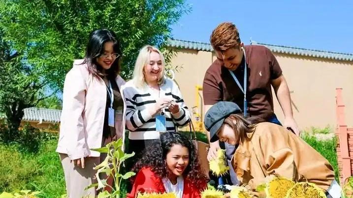 配图