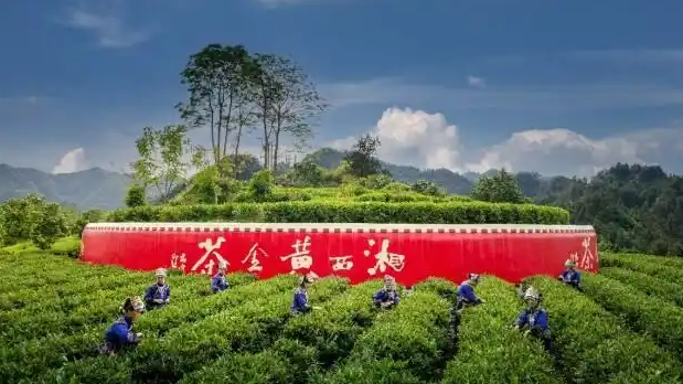 配图