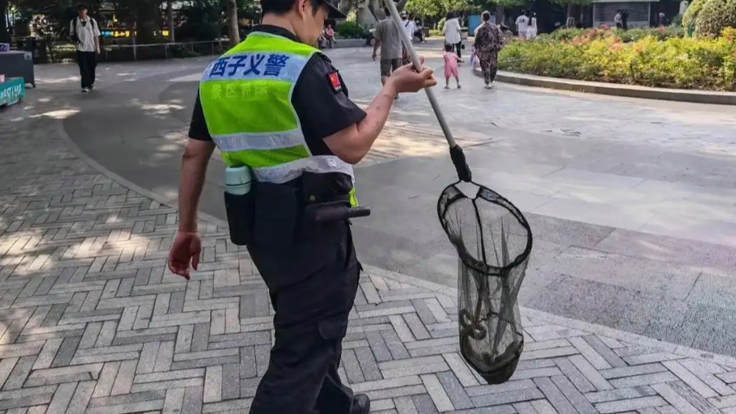 配图