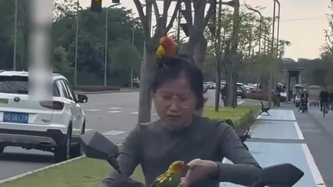 配图
