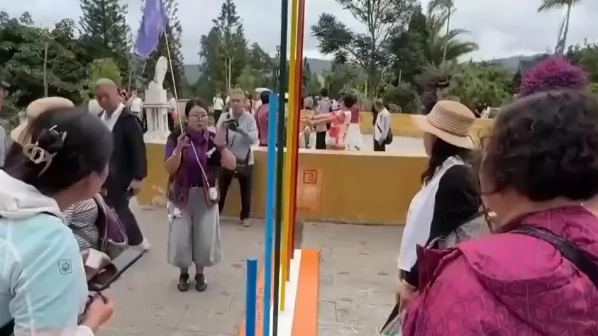 配图