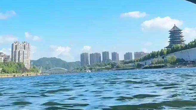 配图