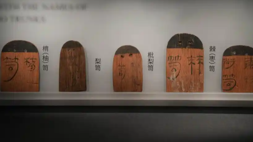 配图
