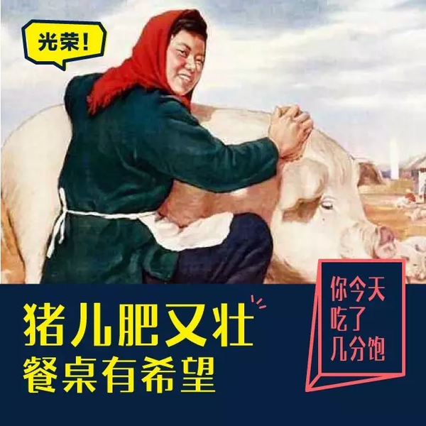 配图