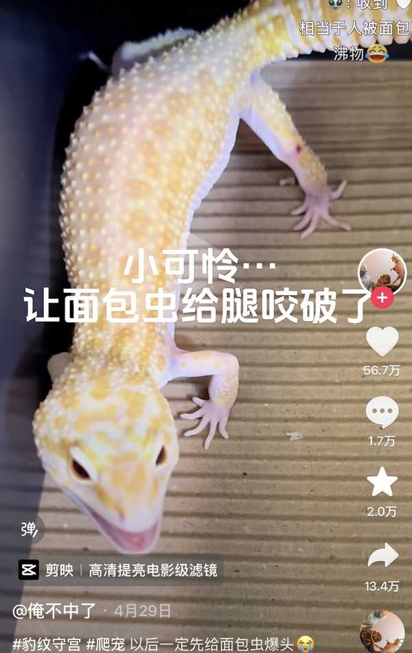 配图